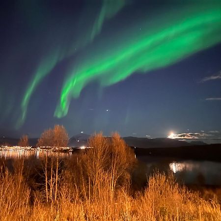 Aurora North Villa Tromsø Eksteriør billede