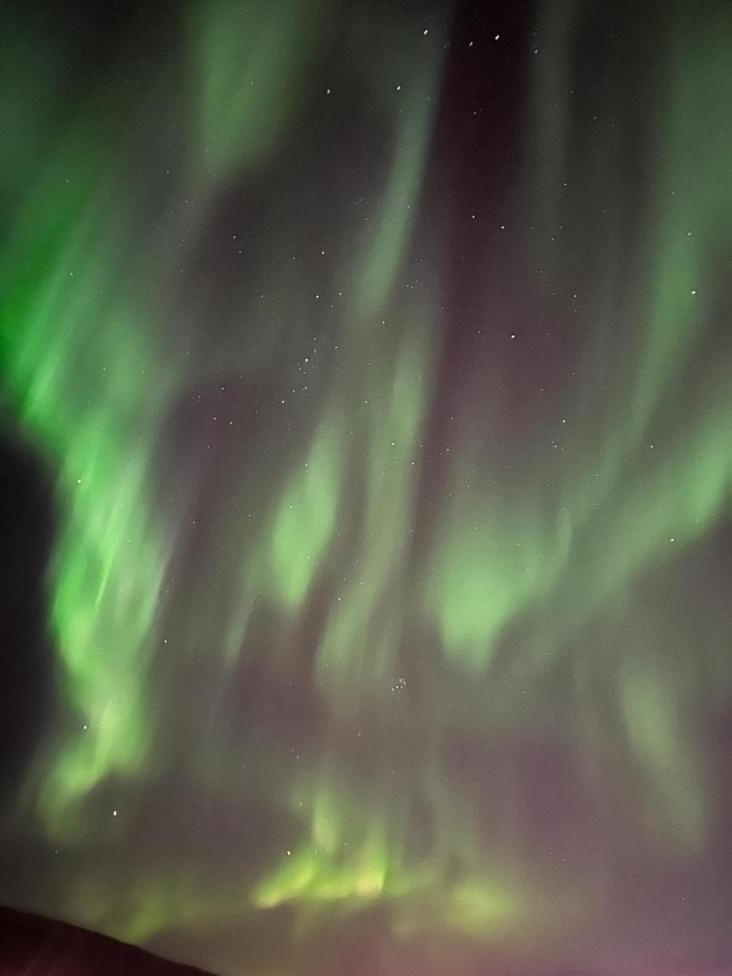 Aurora North Villa Tromsø Eksteriør billede
